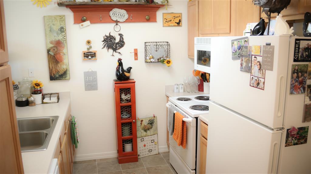 Gallery Photo 43
